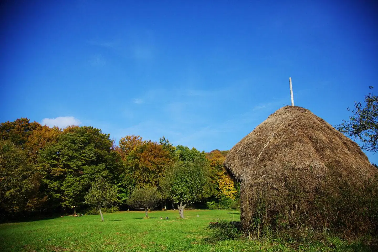 Tomislavov Dom LANDSCAPE
