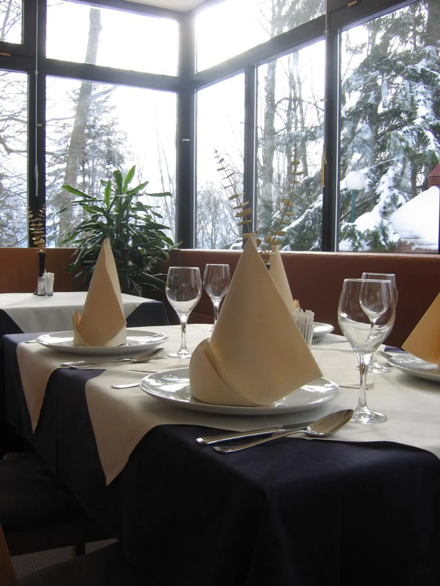 Tomislavov Dom Restaurant