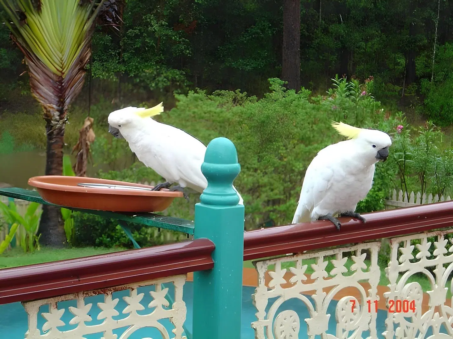 Riviera Bed & Breakfast Tiere