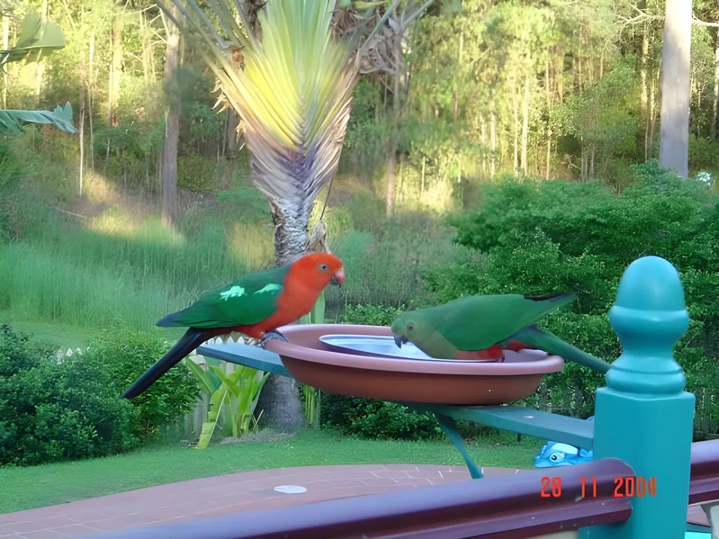 Riviera Bed & Breakfast Garten