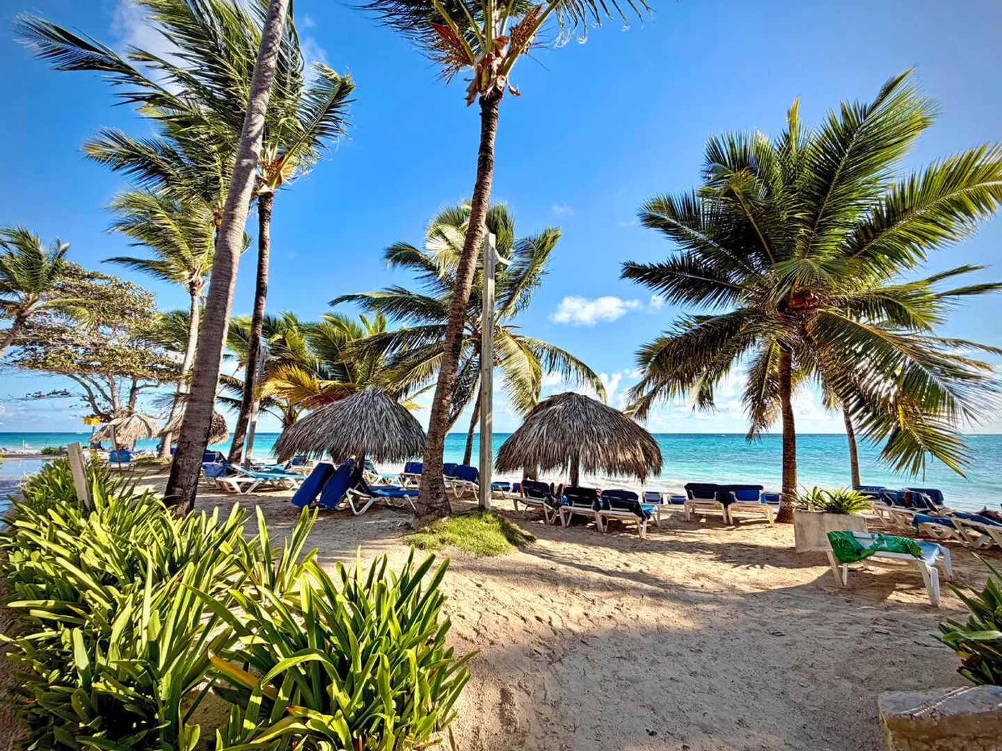 VIK Hotel Arena Blanca BEACH