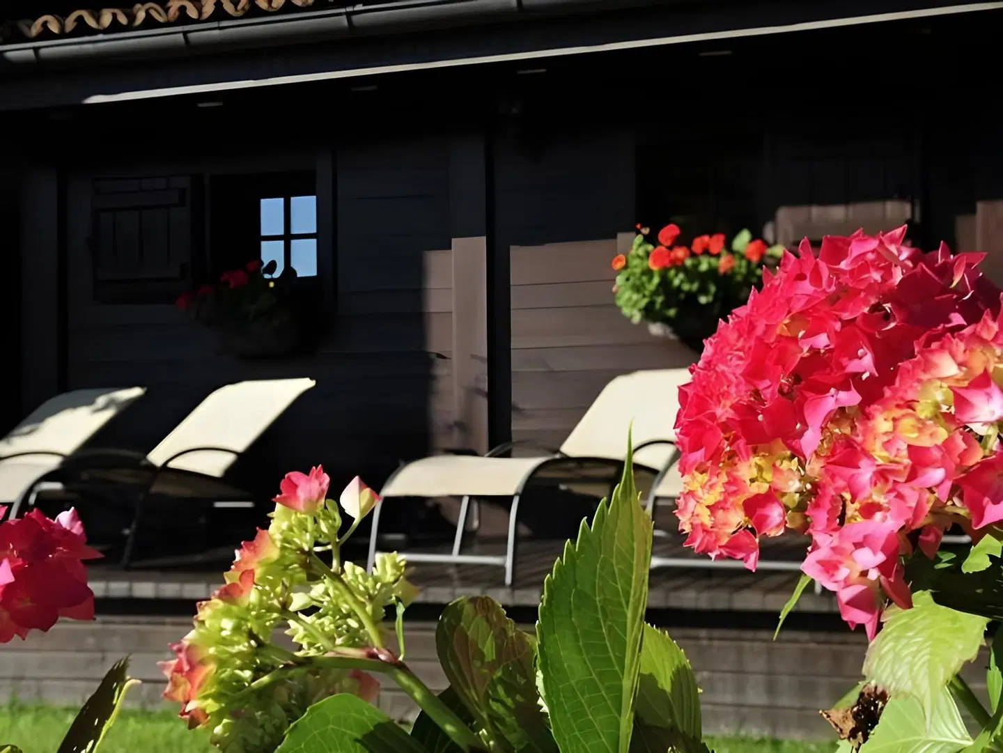 B&B Il Sambuco Terrasse