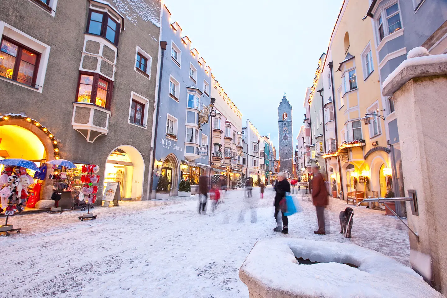Lamm EXTERIOR