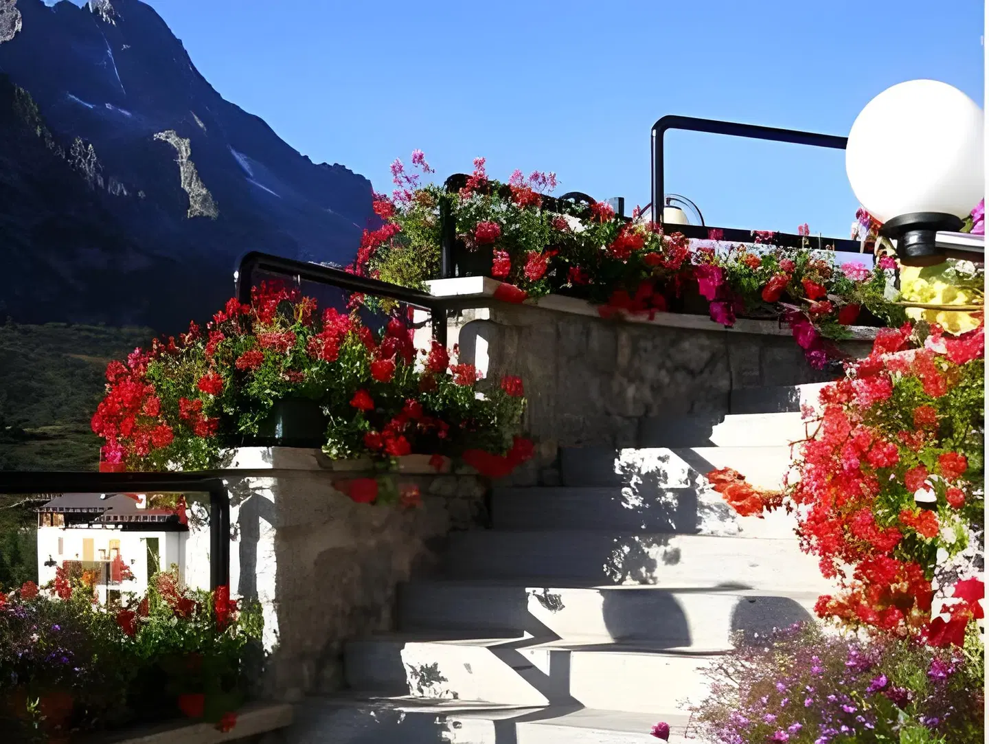 Hotel Orchidea Terrasse