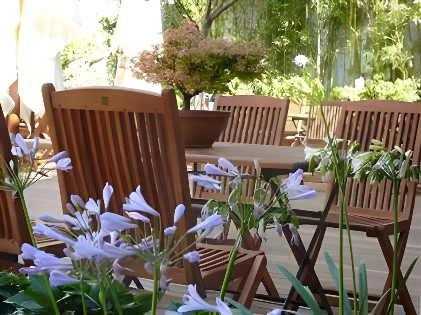 Hotel Gastronómico San Miguel TERRACE