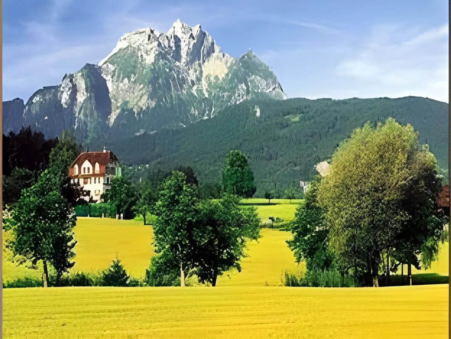Felmis LANDSCAPE