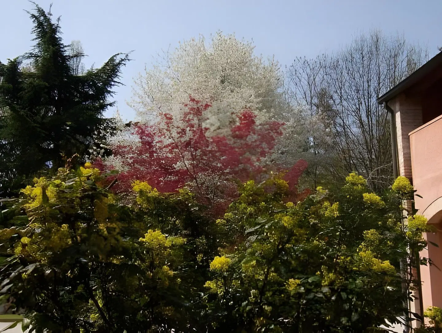 Isola Di Caprera GARDEN