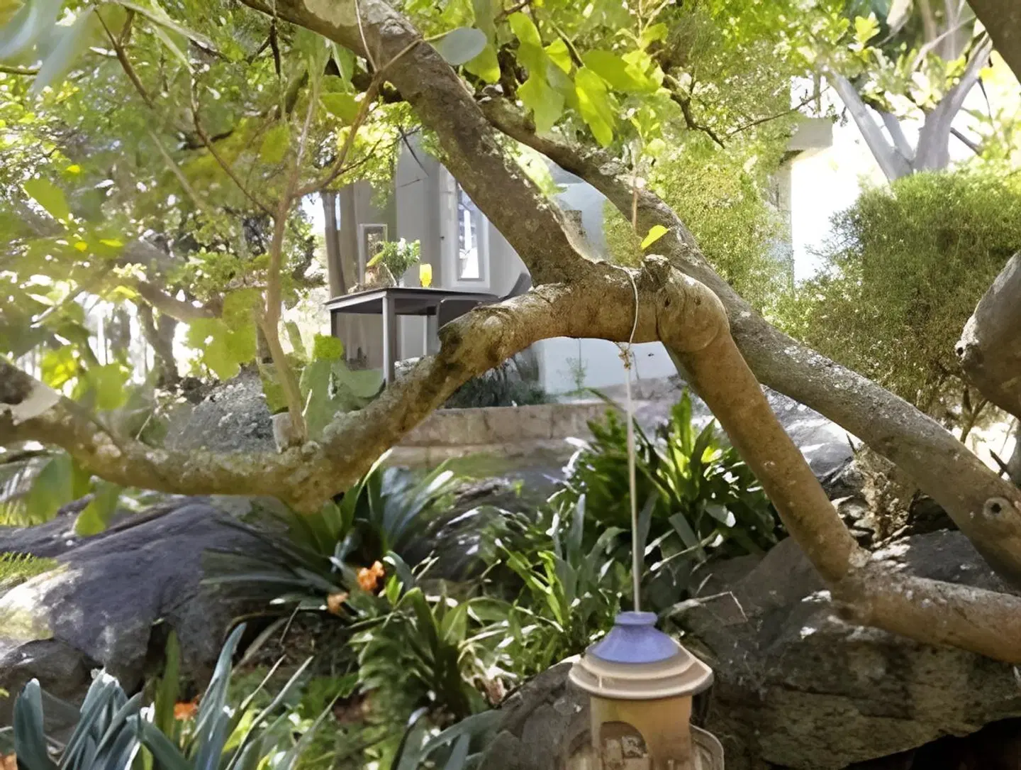 Loerie's Call Guesthouse Garten
