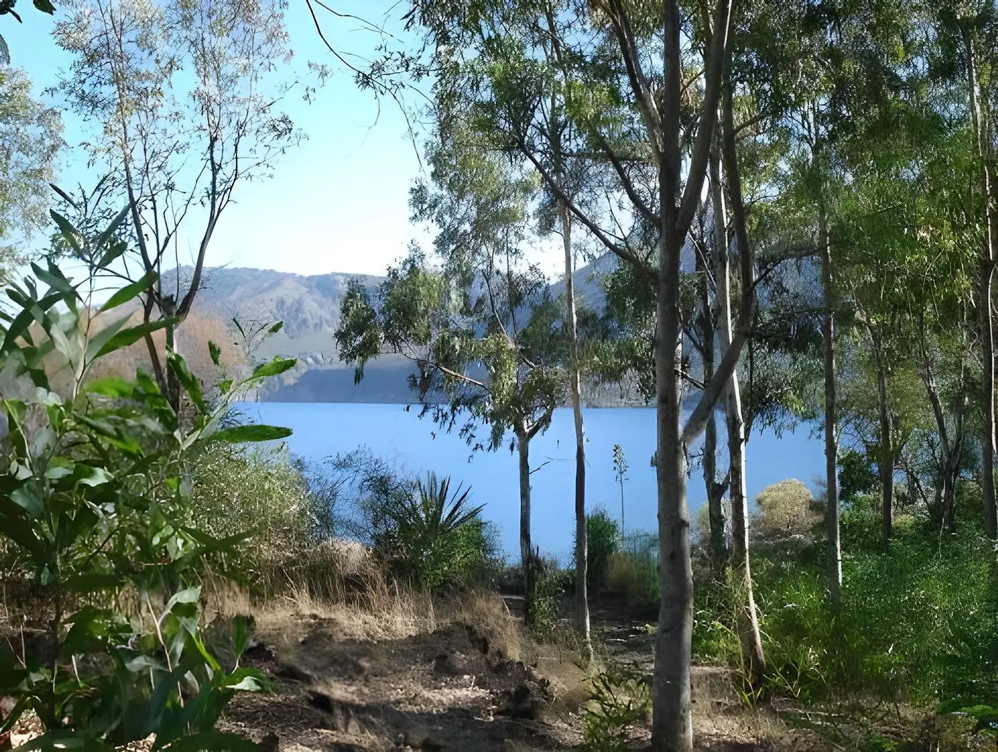 Conti LANDSCAPE