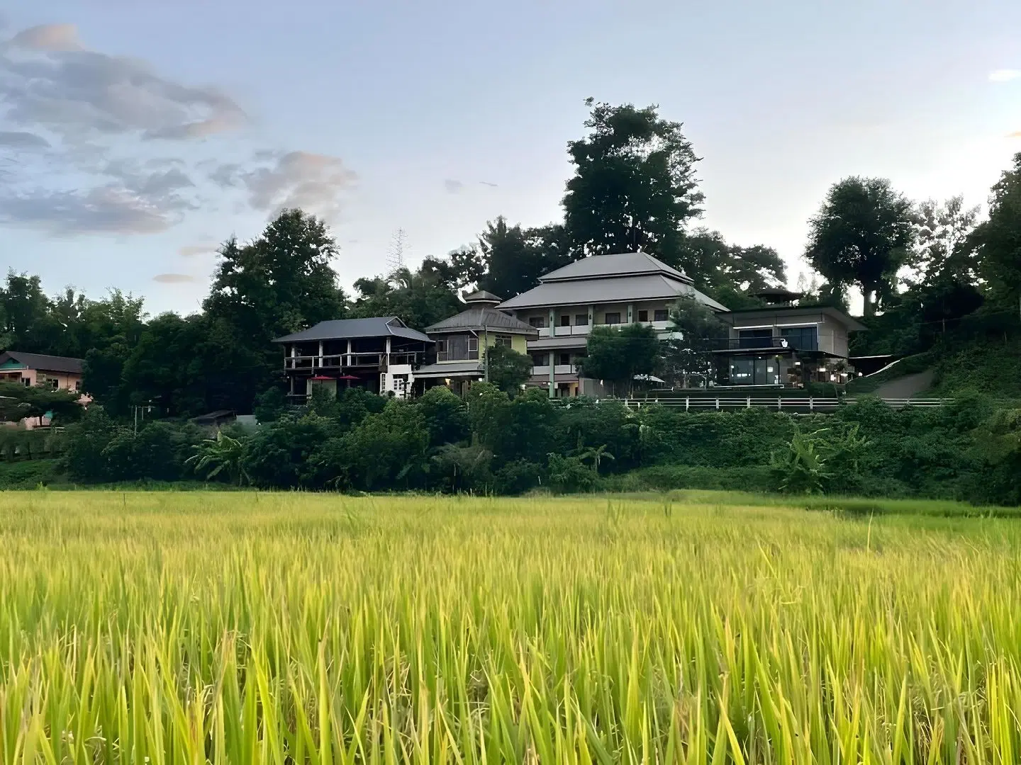 Pawinsin Resort LANDSCAPE