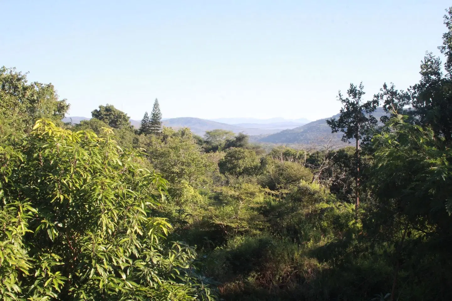 Bubezi Guesthouse LANDSCAPE
