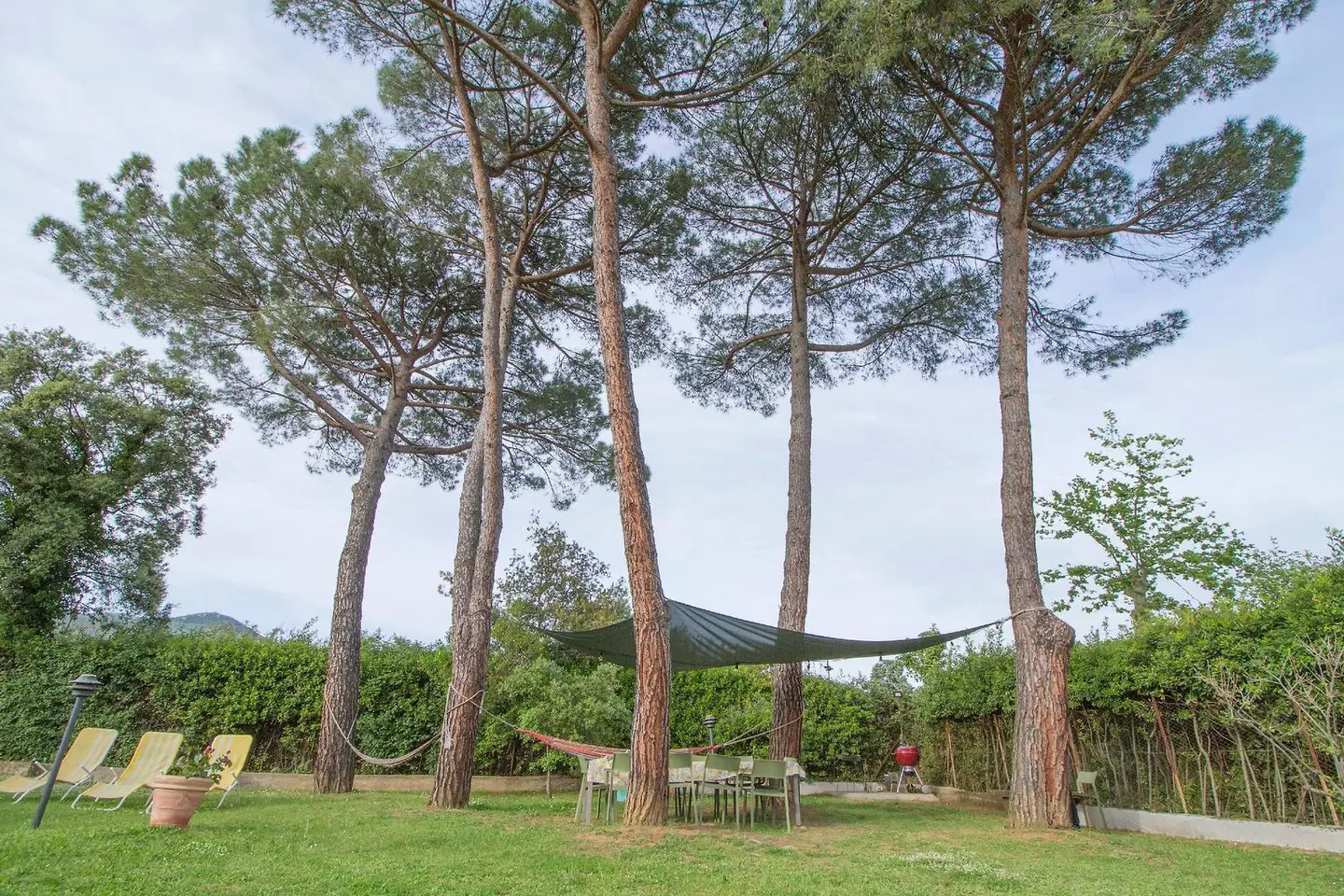 B&B Palazzi Garten