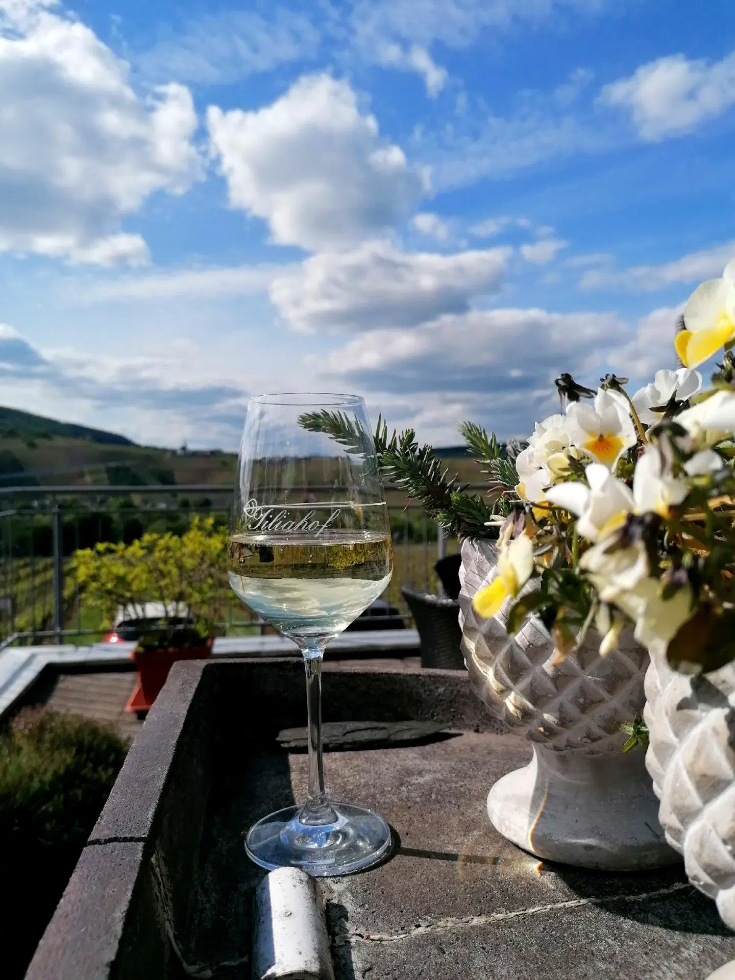 Weingut Tiliahof Terrasse