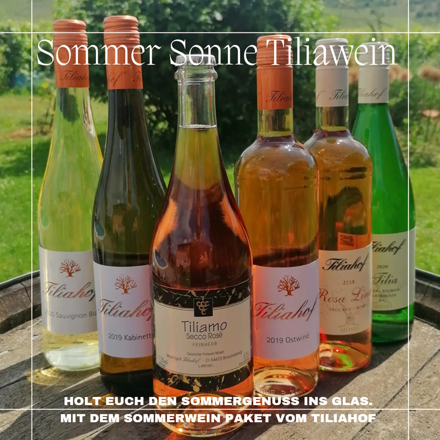 Weingut Tiliahof SPORTS_AND_LEISURE
