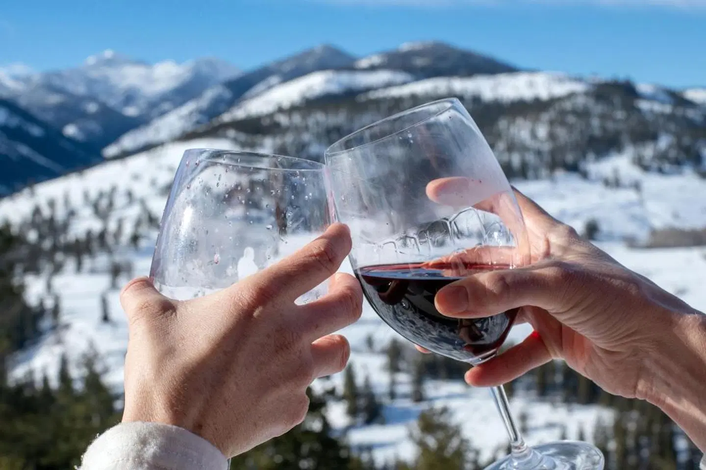 Sun Mountain Lodge Tiere