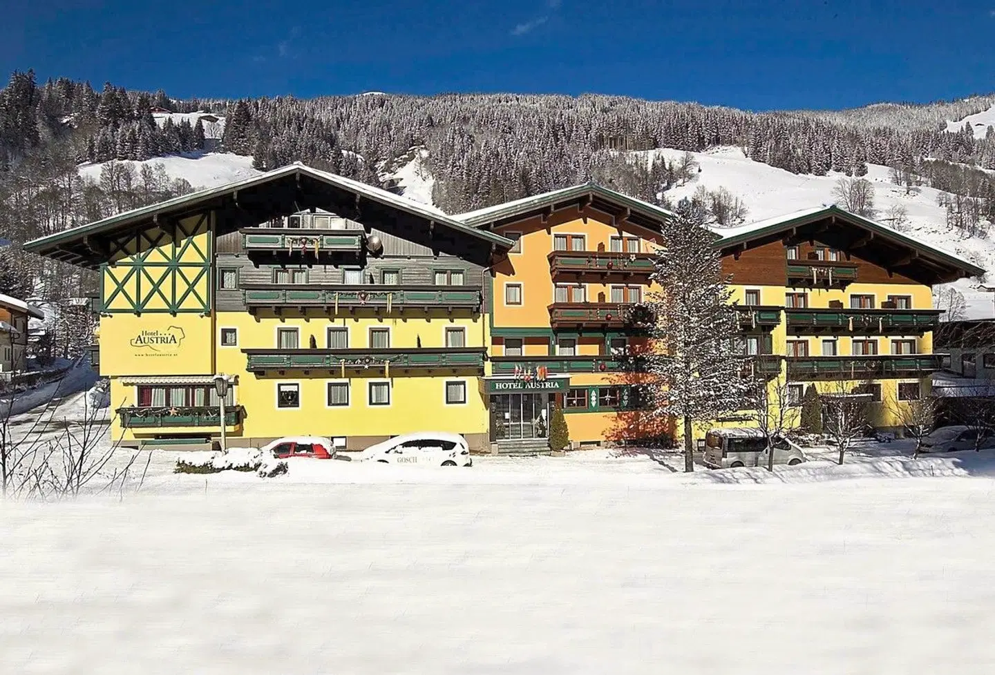 Hotel und Villa Austria Saalbach EXTERIOR