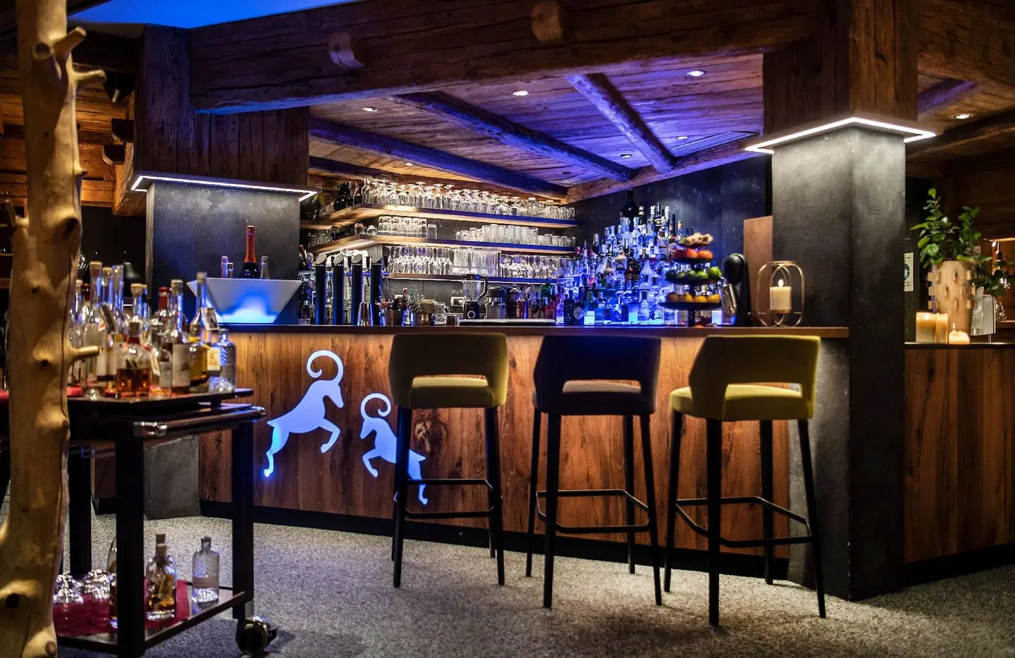 Abinea Dolomiti Romantic & SPA Hotel Bar