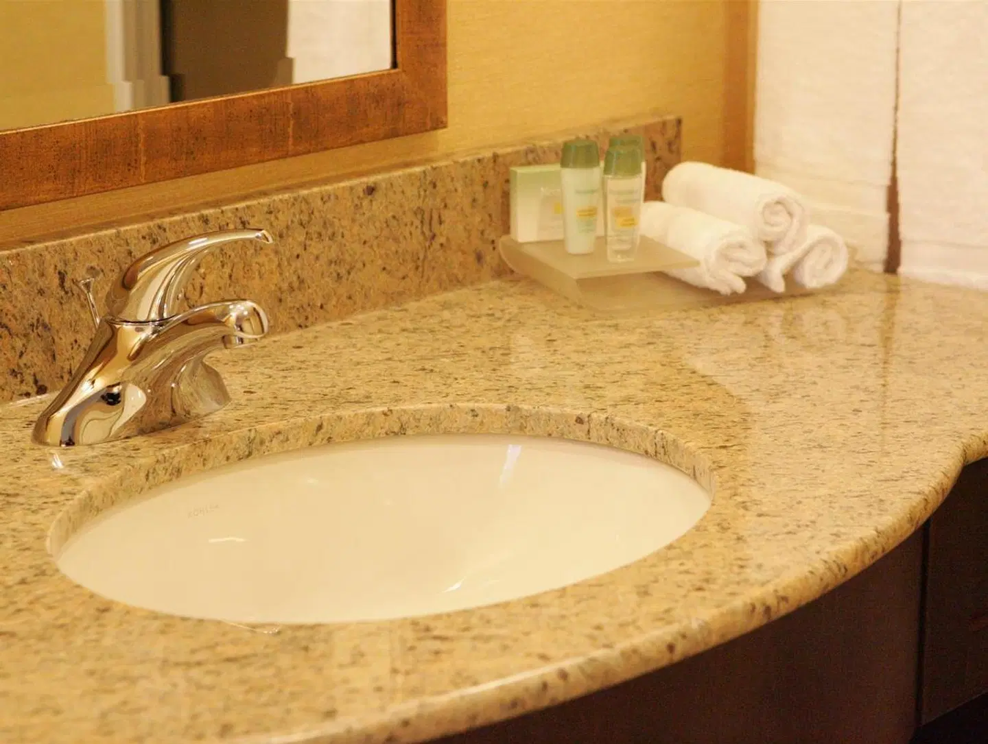 Homewood Suites by Hilton Toronto Airport Corporate Centre Badezimmer