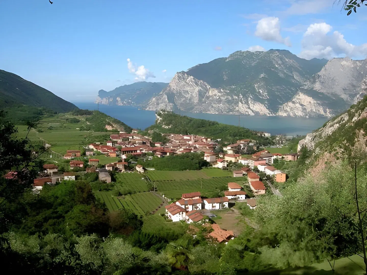 Rubino LANDSCAPE