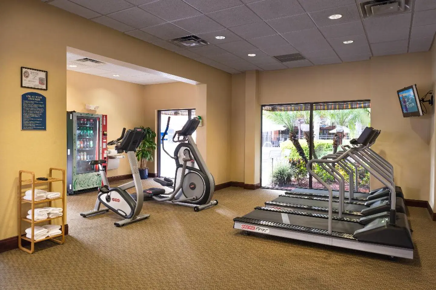 Holiday Inn & Suites Orlando SW - Celebration Area SPORTS_AND_LEISURE