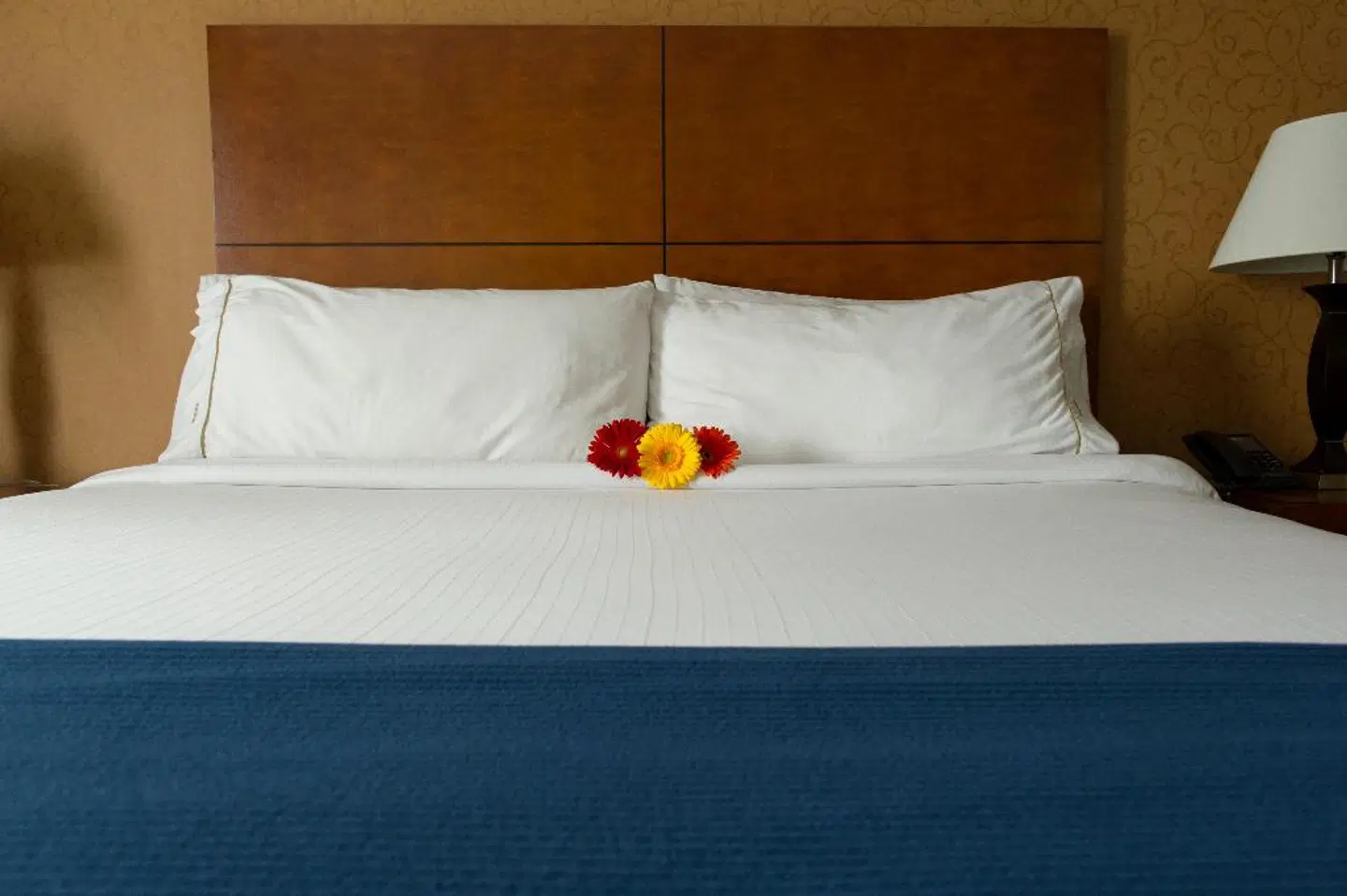 Sandman Hotel & Suites London Downtown ROOM_EXAMPLE