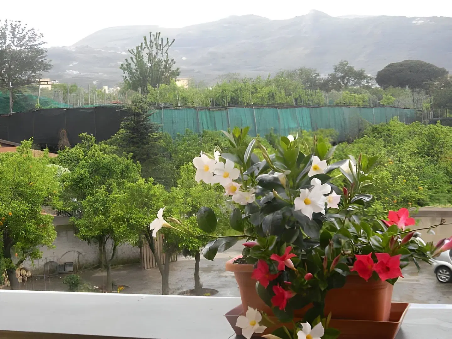 B&B Villa Elisa Terrasse
