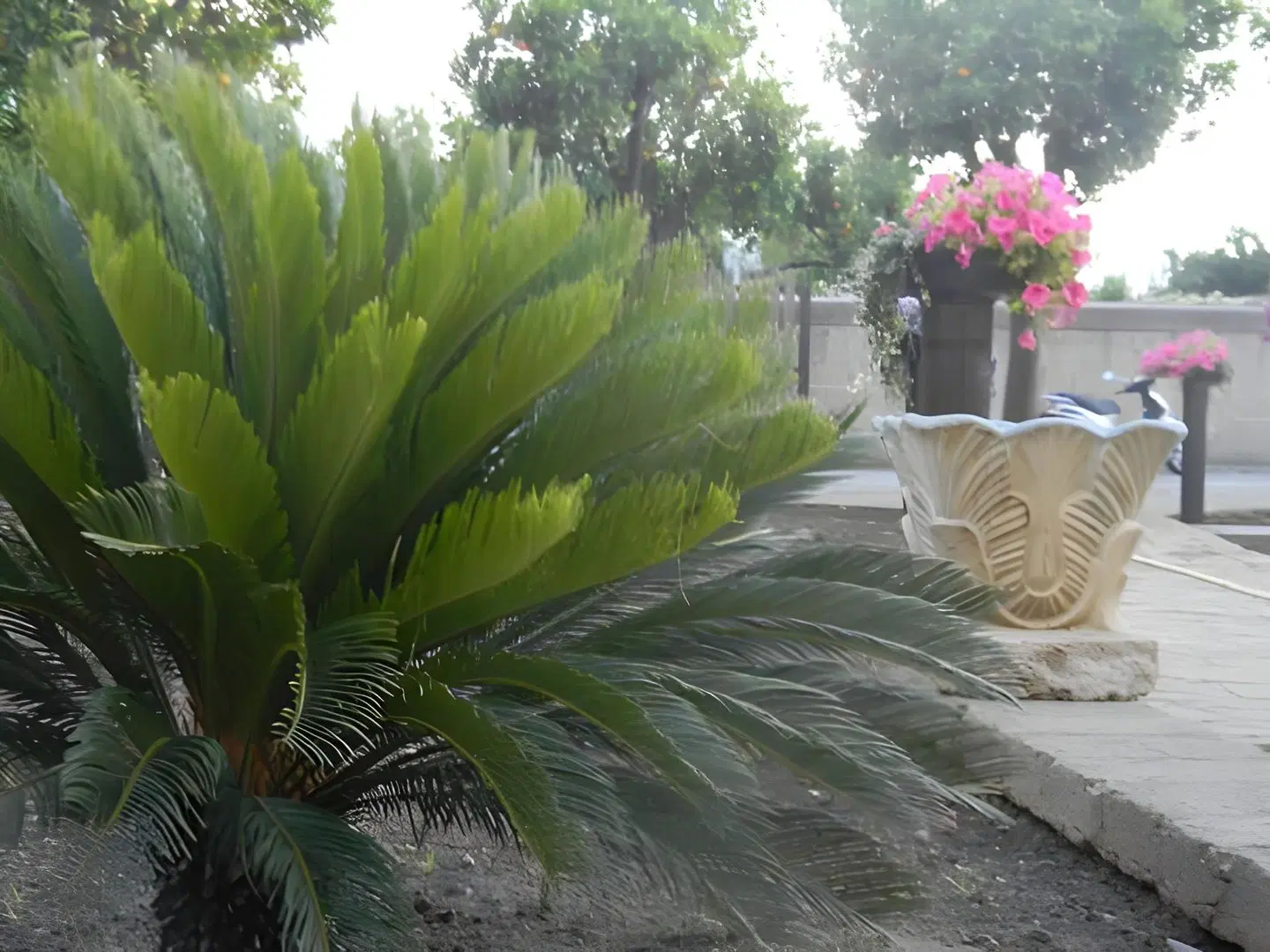 B&B Villa Elisa Garten