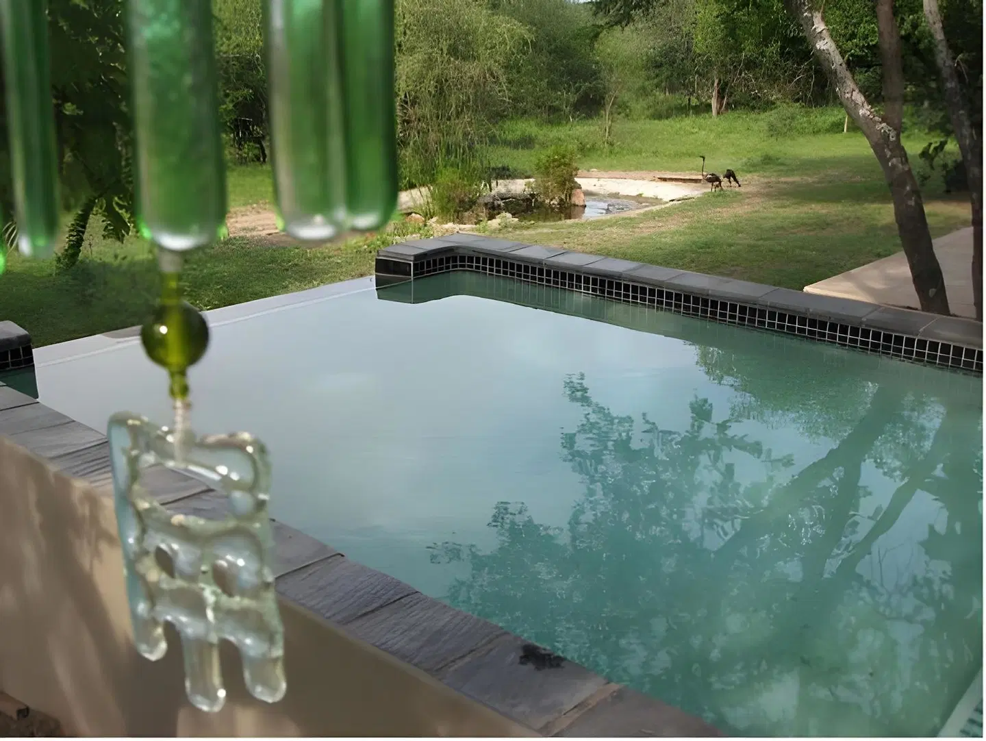 Turaco Lodge OUTDOOR_POOL