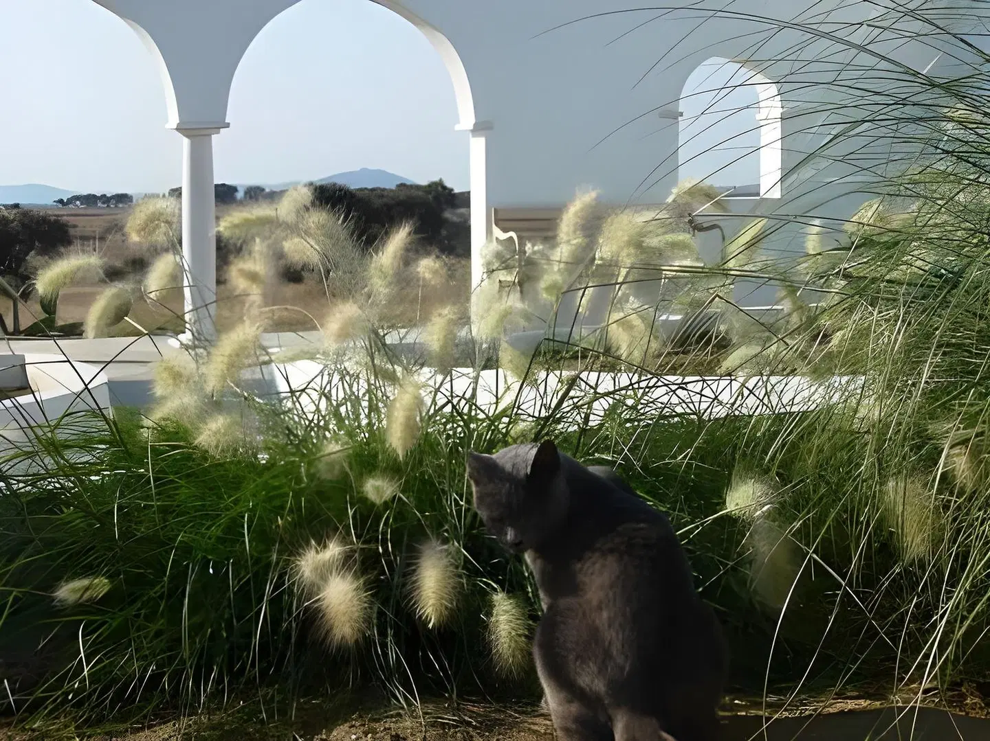 Monte do Peral Tiere