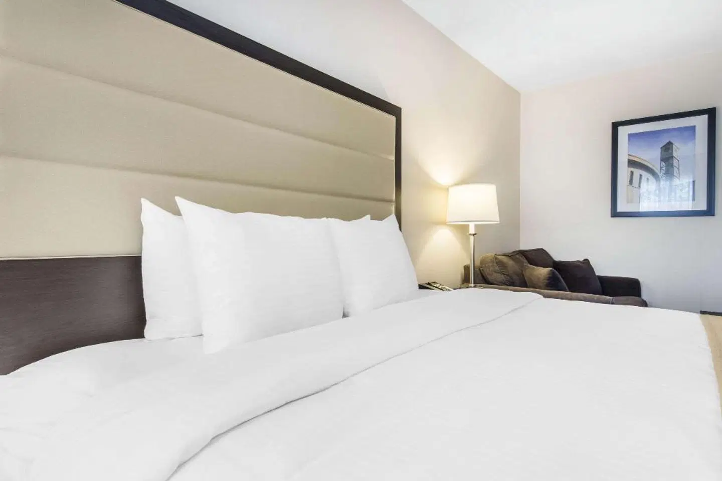 Quality Inn Airport West ROOM_EXAMPLE