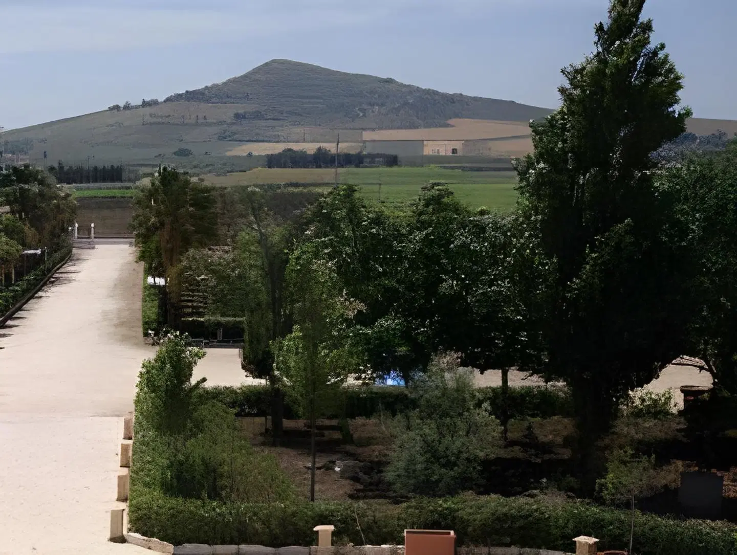 Villa Delle Palme Delfina LANDSCAPE