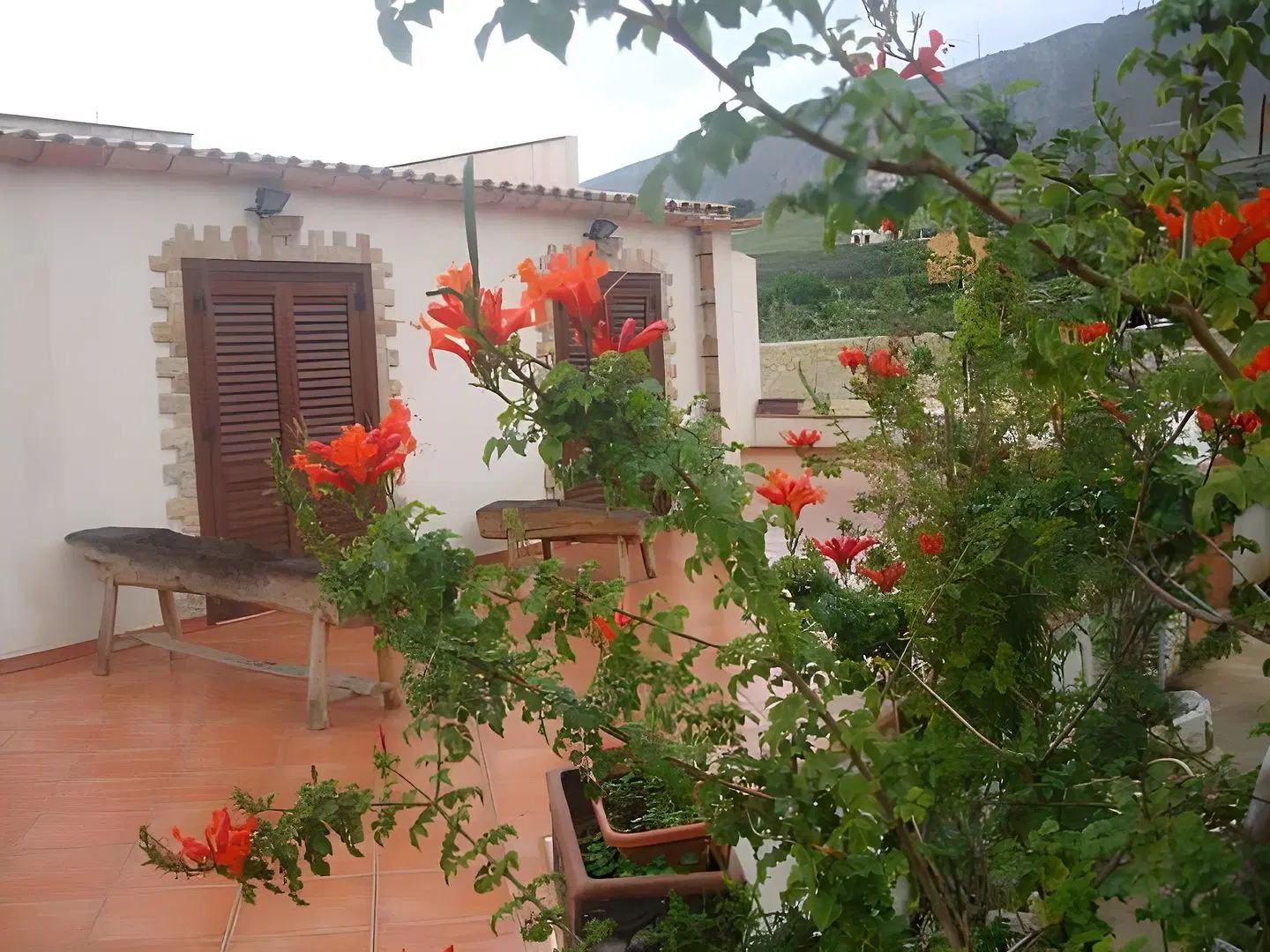 Villa Delle Palme Delfina EXTERIOR