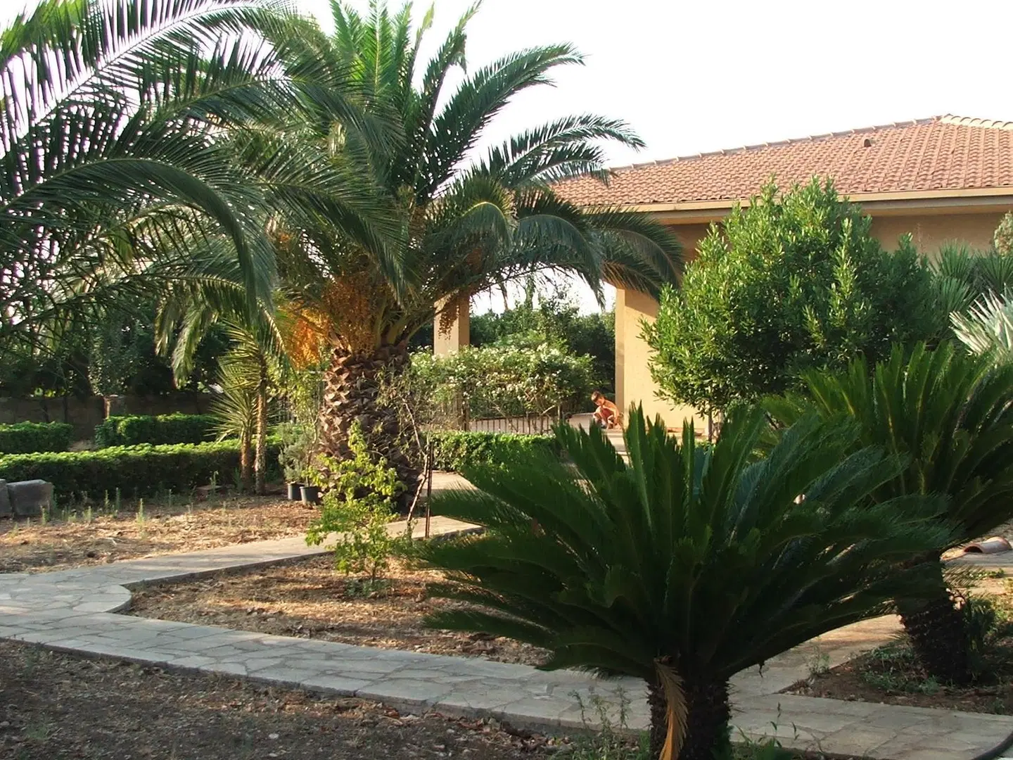 Villa Rosa Garten