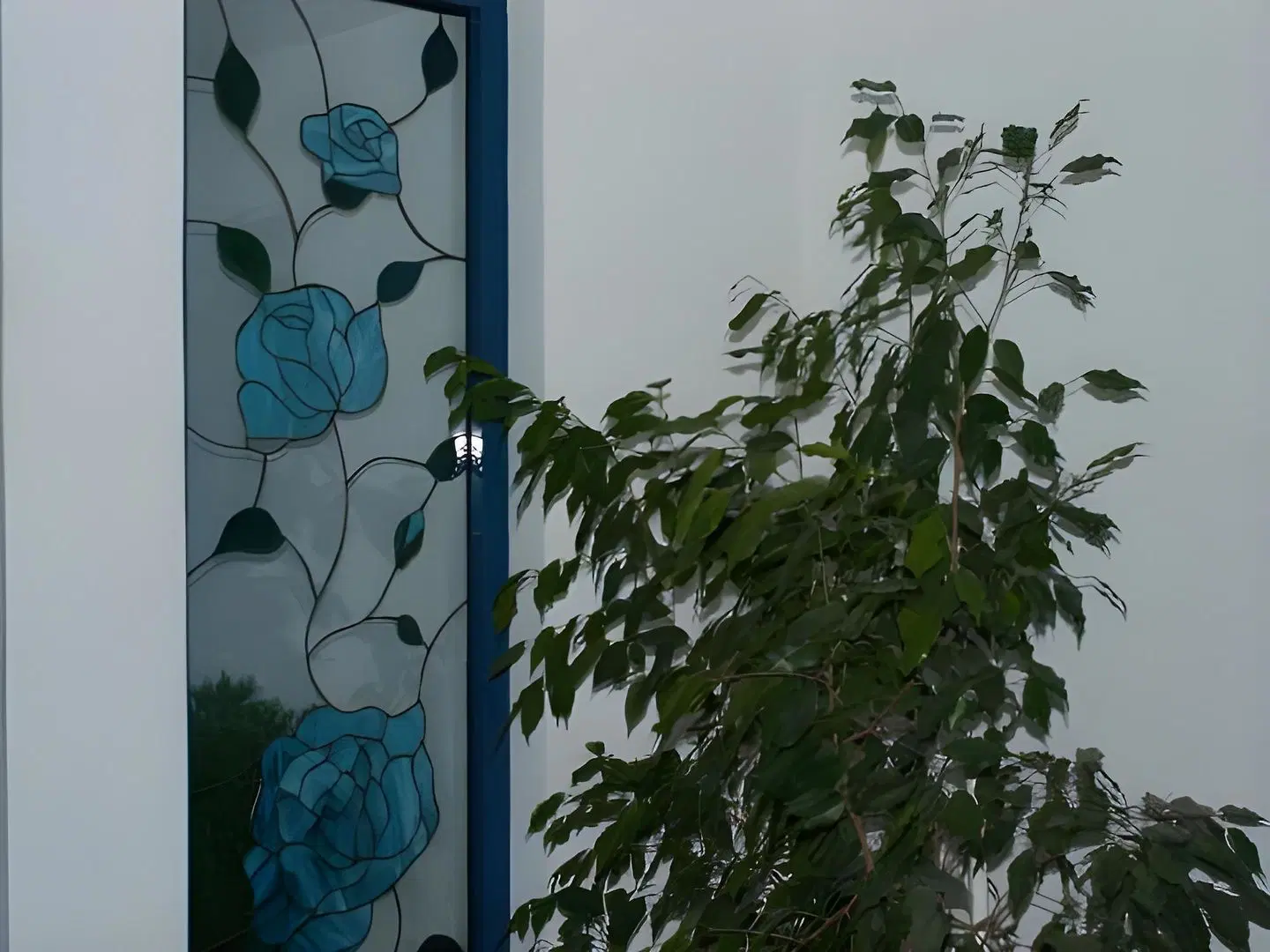 Blue Roses SPORTS_AND_LEISURE