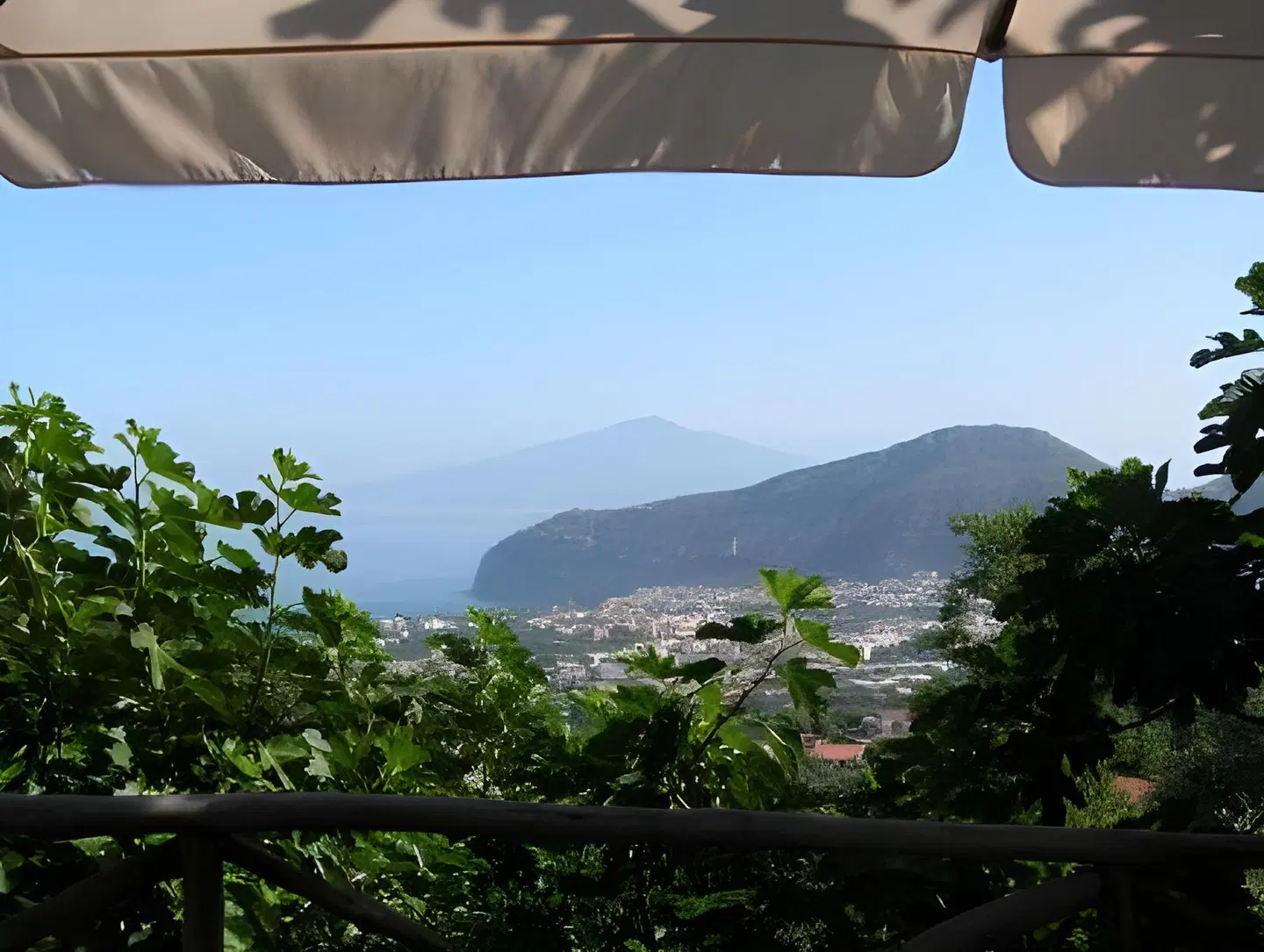 Gli Ulivi LANDSCAPE