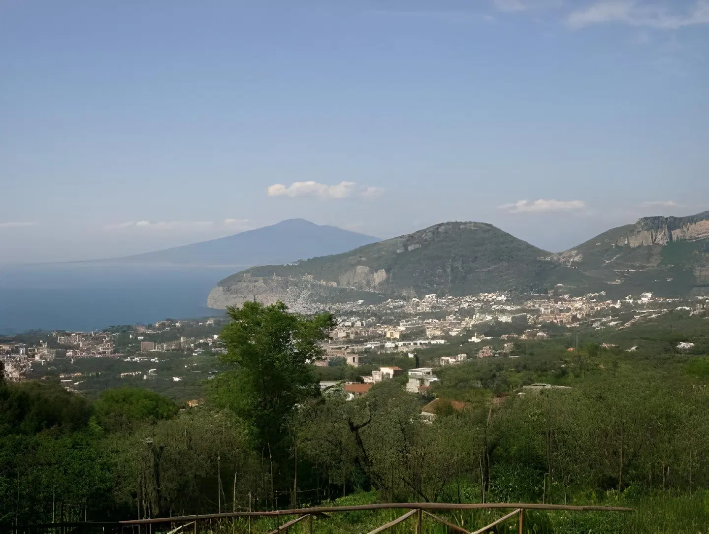 Gli Ulivi LANDSCAPE