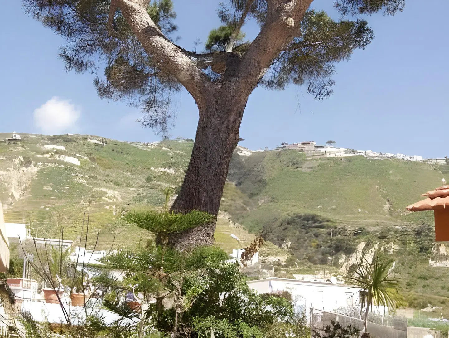 Albergo Villa Mario LANDSCAPE