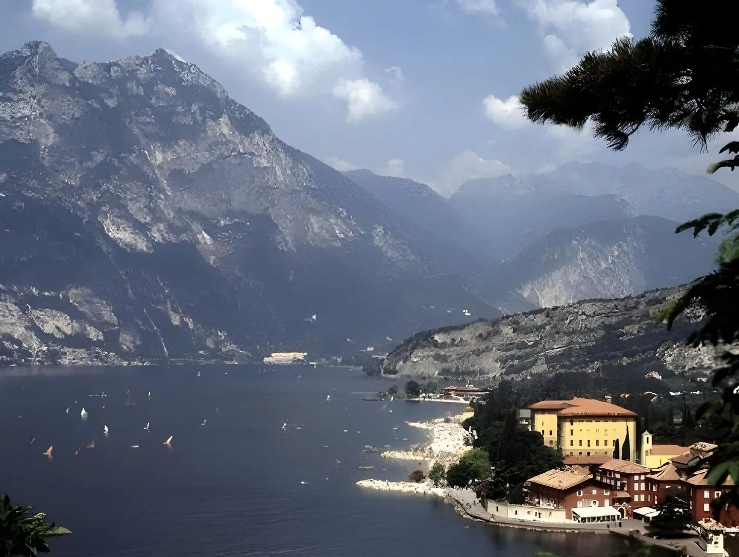 Villa Rosa LANDSCAPE