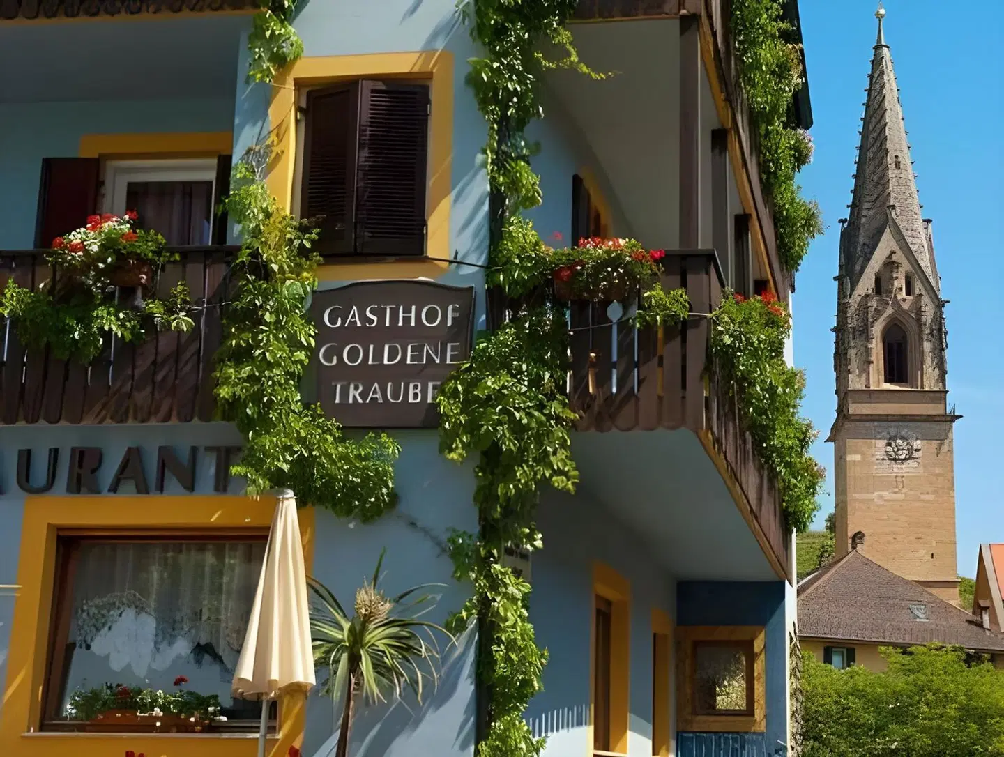 Goldene Traube EXTERIOR