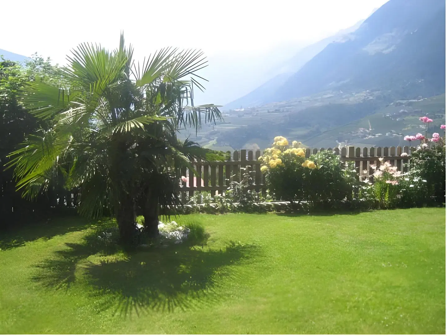 Pension Grafenau Garten