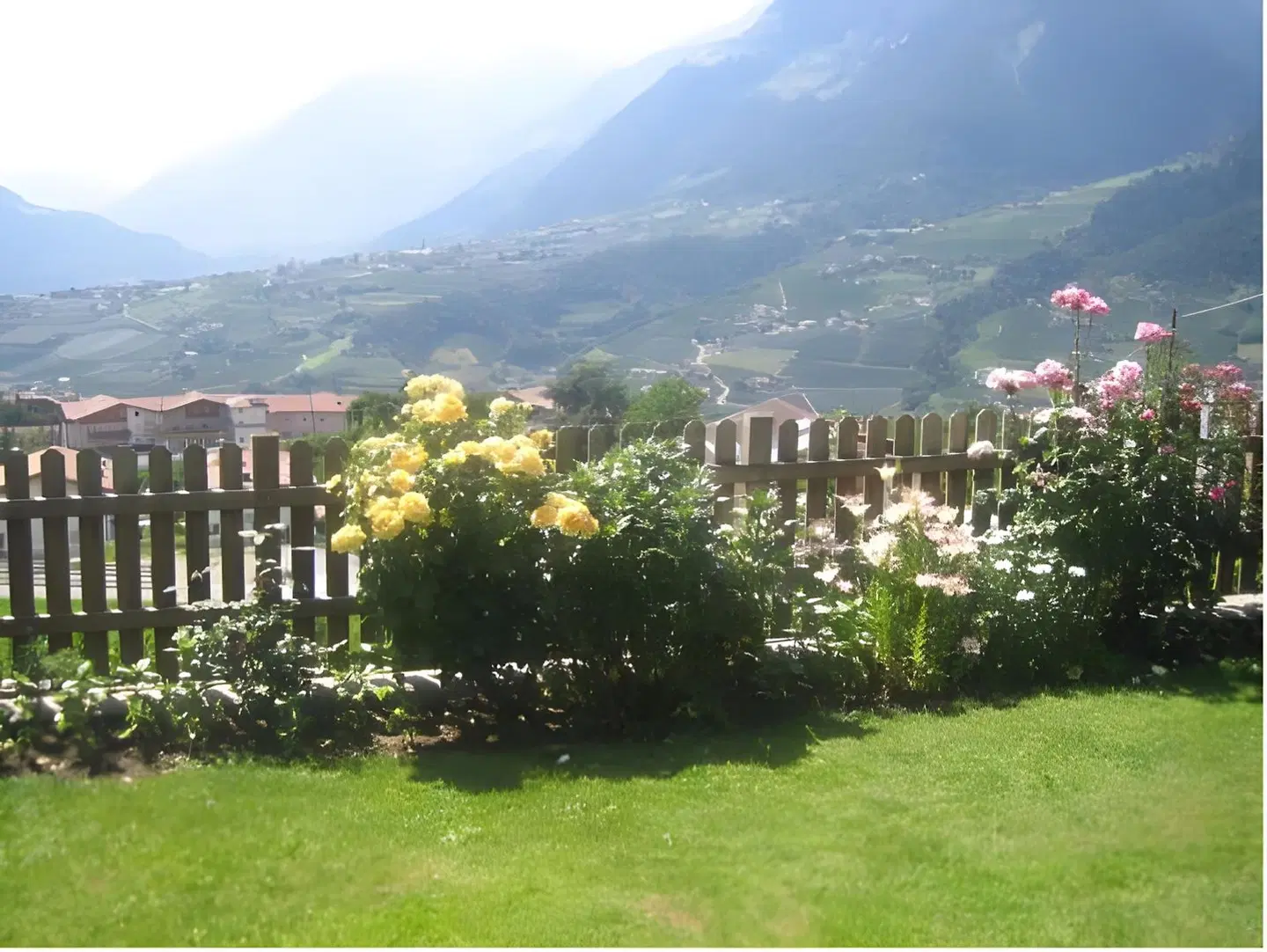 Pension Grafenau Garten