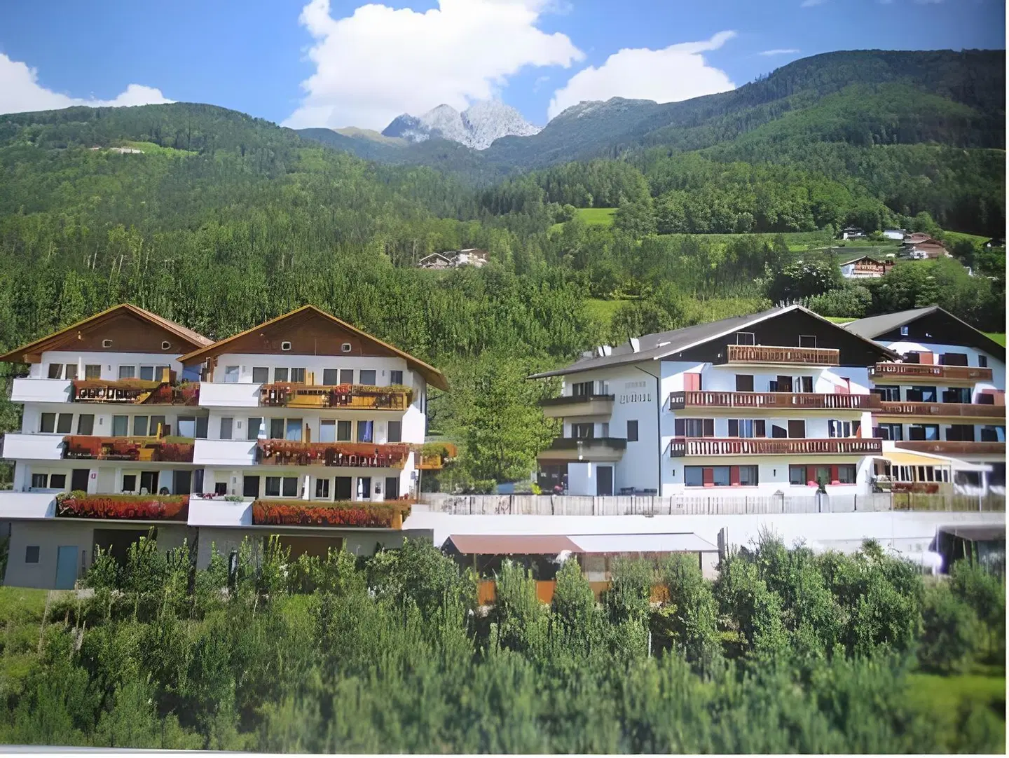Pension Grafenau EXTERIOR
