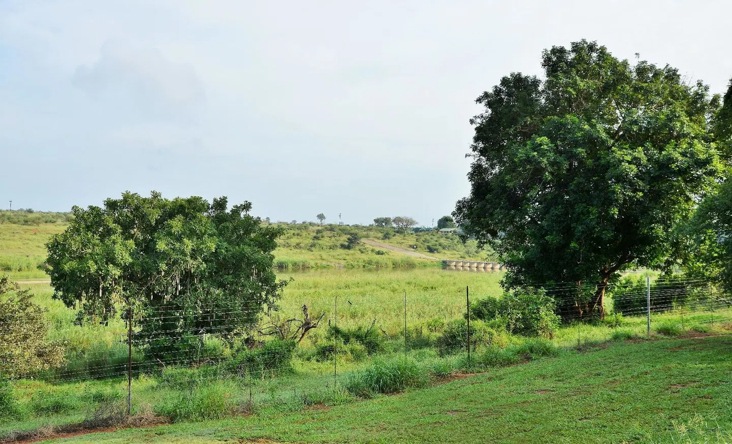 Elephant Walk Retreat LANDSCAPE
