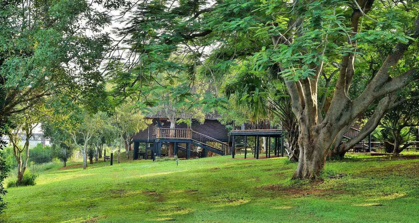 Elephant Walk Retreat Garten