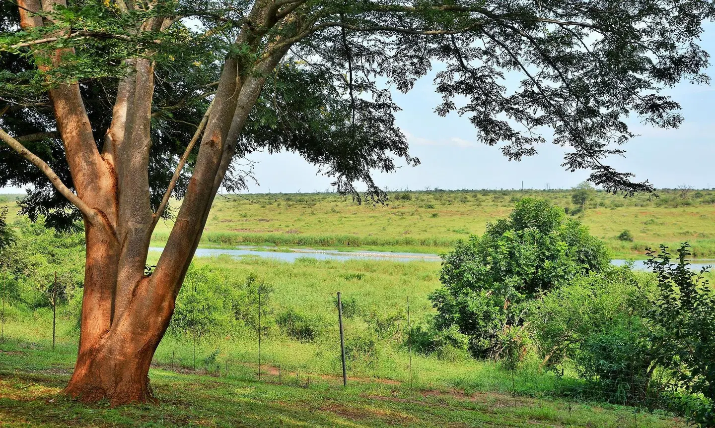 Elephant Walk Retreat LANDSCAPE