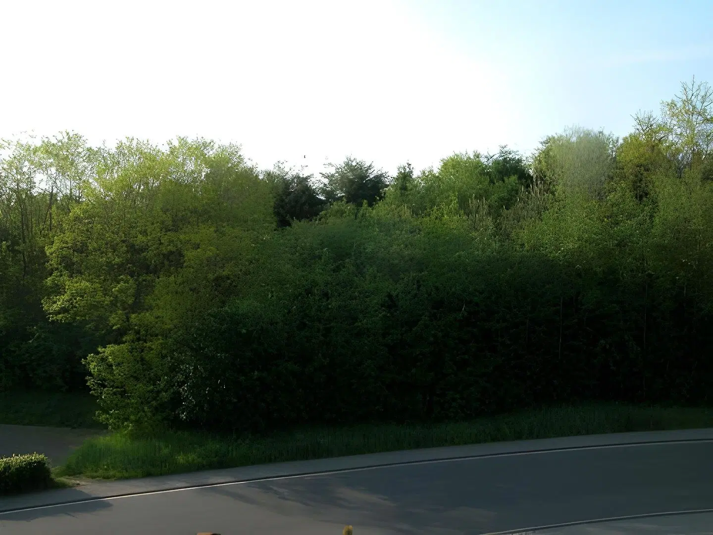 Ernst LANDSCAPE