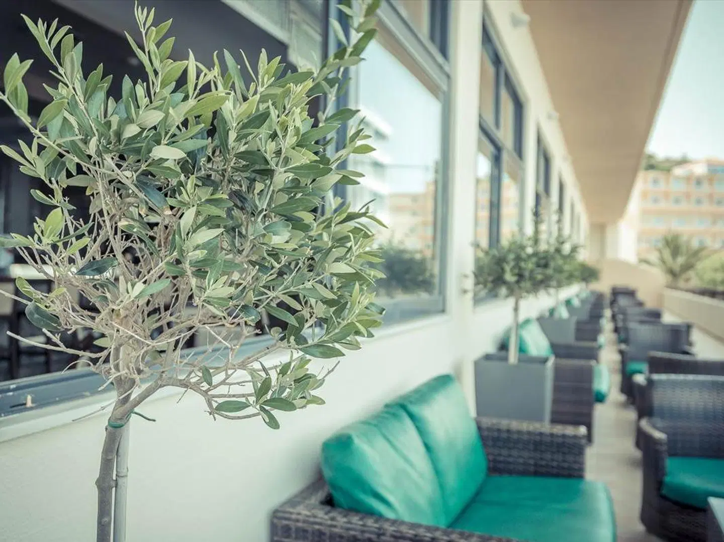 Rhodos Horizon Blu Terrasse