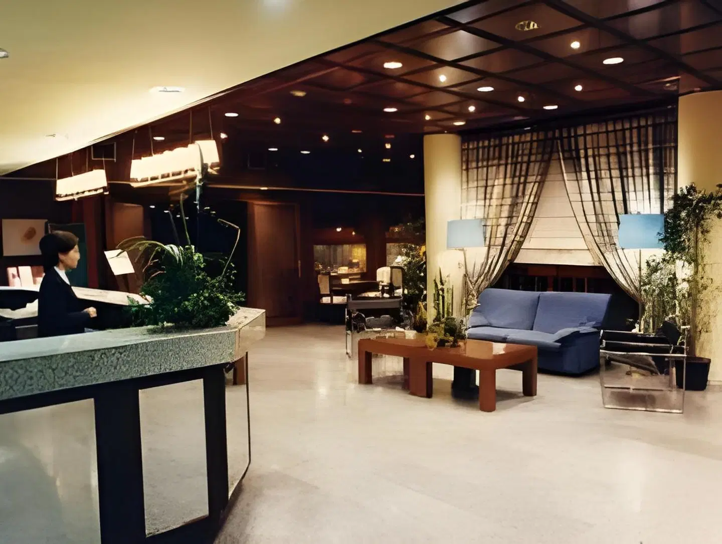 Hotel Sansi Park LOUNGE_LOBBY