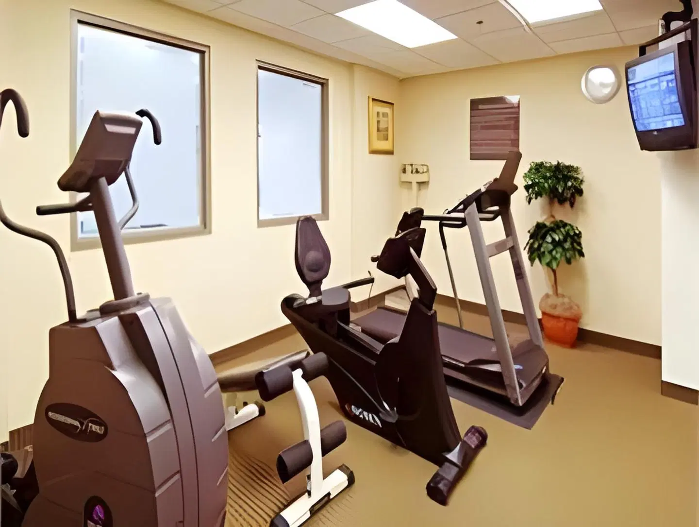 Hampton Inn by Hilton Toronto-Mississauga West SPORTS_AND_LEISURE