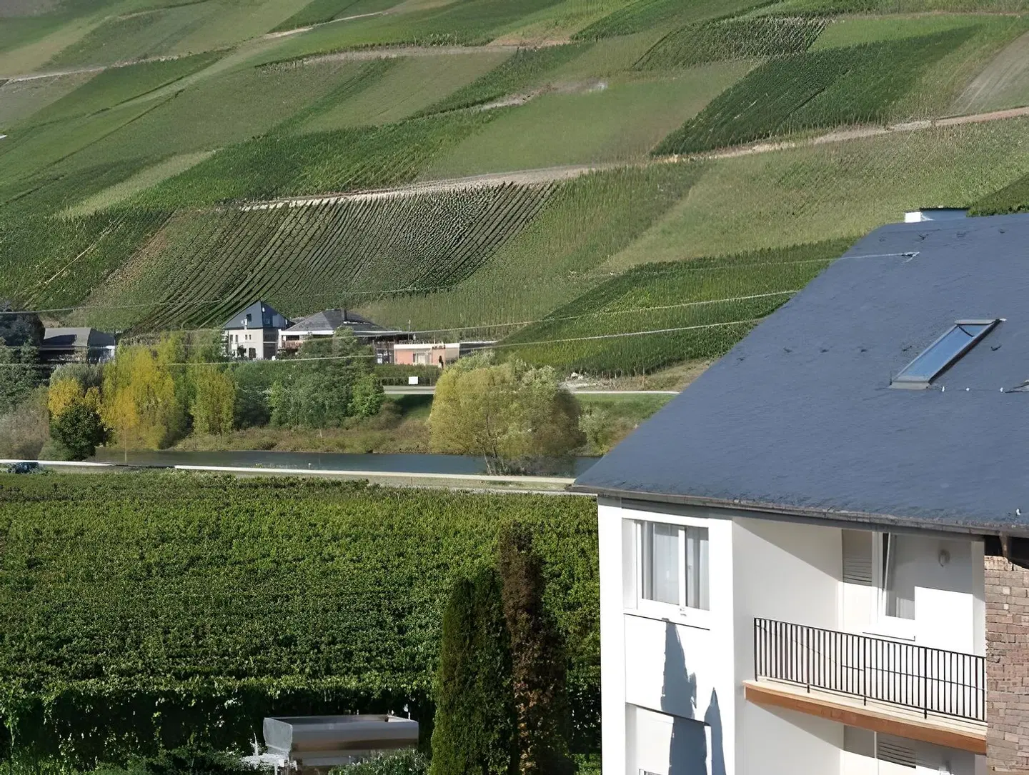 Moselhotel Ludwigs Terrasse